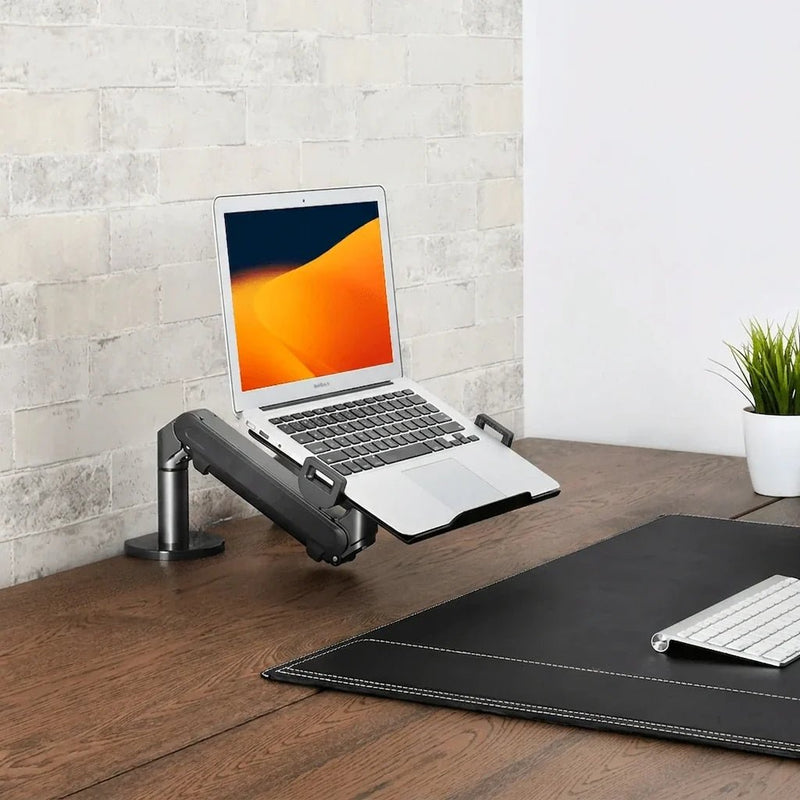 Alberenz® Laptoparm mit Gasfeder - Dunkelgrau
